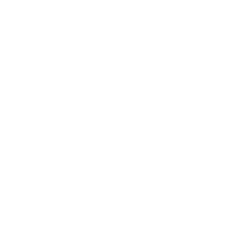 Flights
