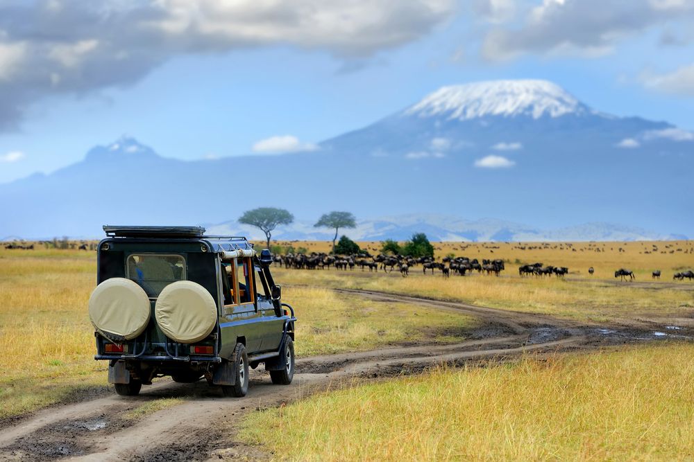 Safari Holidays