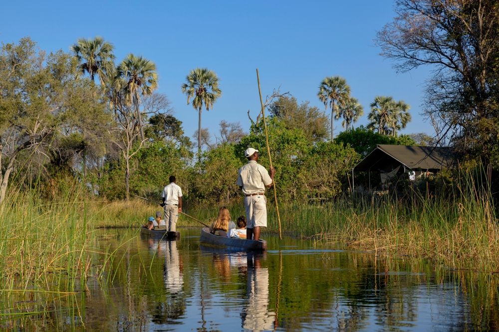 Safari Holidays