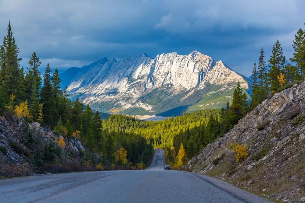 Mountain road winding through a forest with rugged peaks in the distance